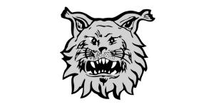 Ilves Jalkapallo logo