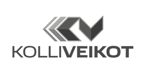 Talenom referenssi Kolliveikot Oy