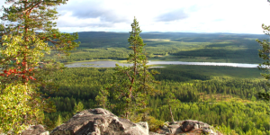 Talenom_kirjanpitotoimisto_tilitoimisto_ylitornio